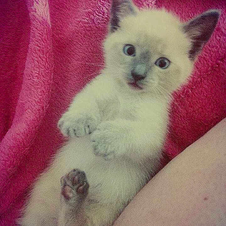 Poup?e participe au concours pour gagner de l'argent avec cette photo :