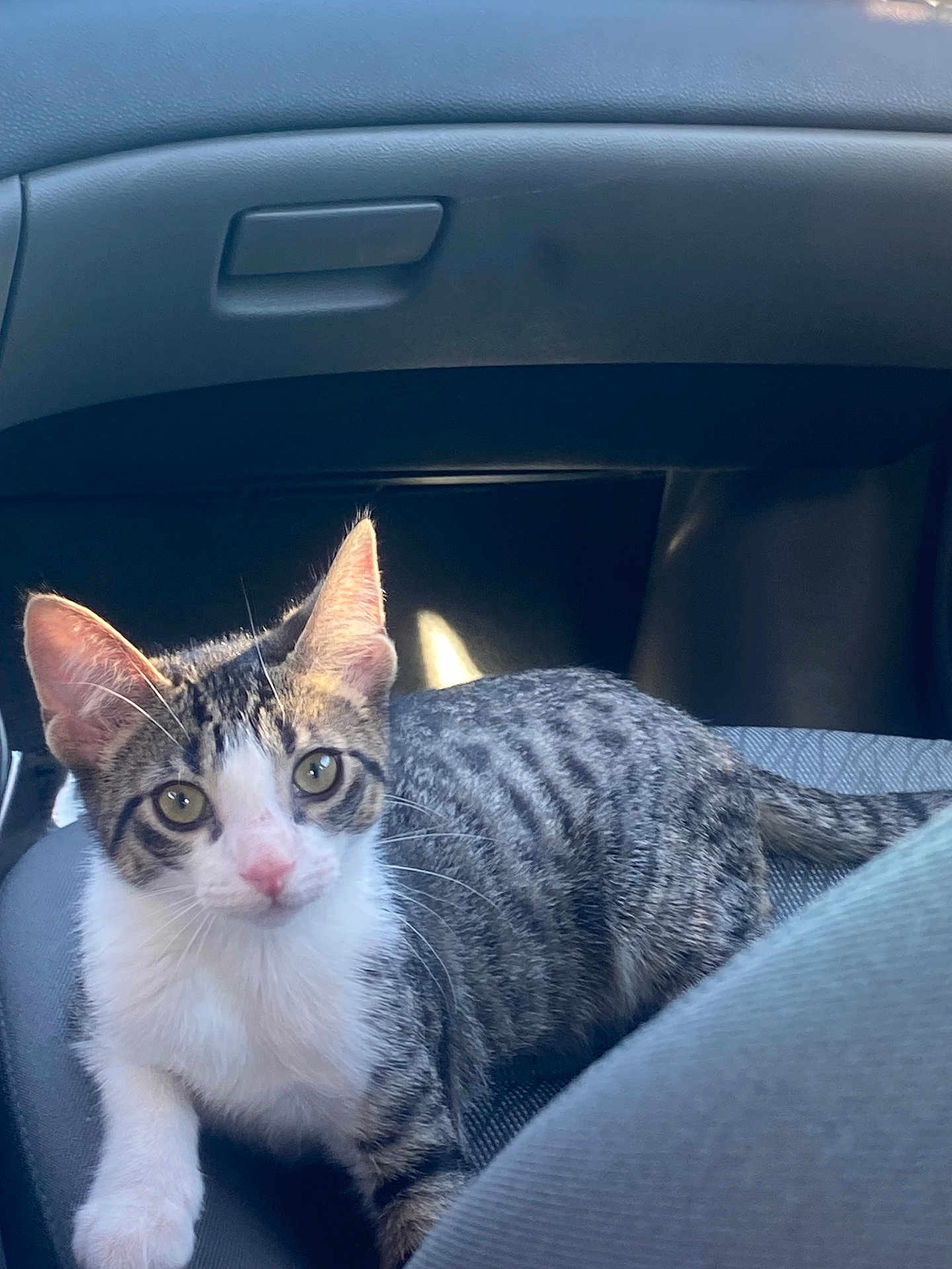 Milo