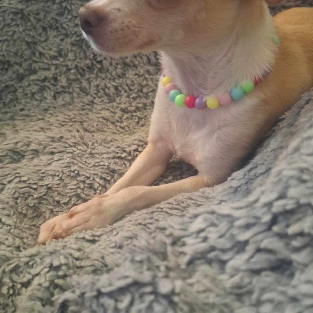 Nala