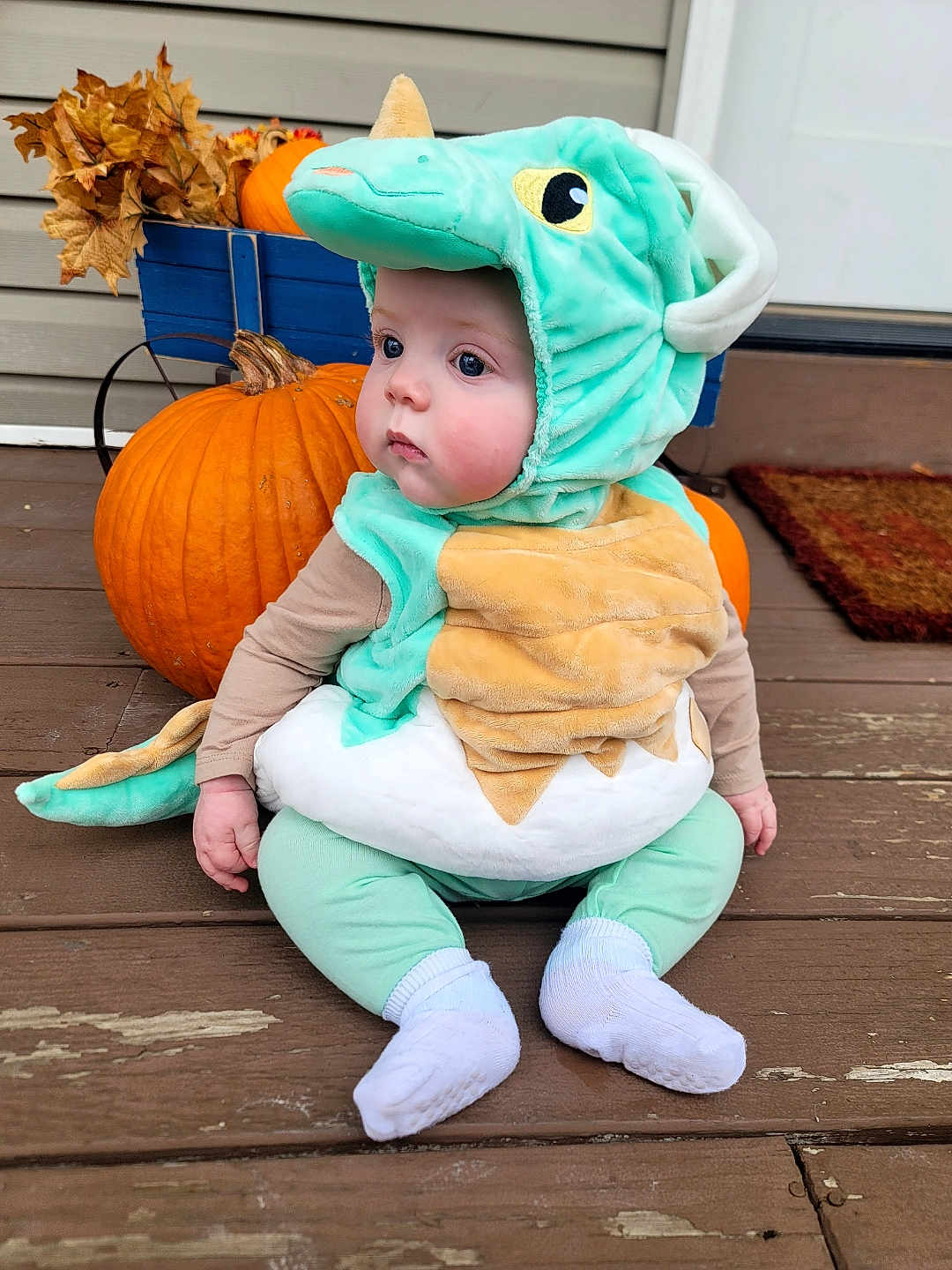 Ethan. is registered to the contest to win money with this photo: baby, child, costume, dinosaur_costume, pumpkin, autumn, fall, leaves, porch, wooden_floor, cute, plush, sitting, outdoor, seasonal, holiday, face, clothing, sock, expression