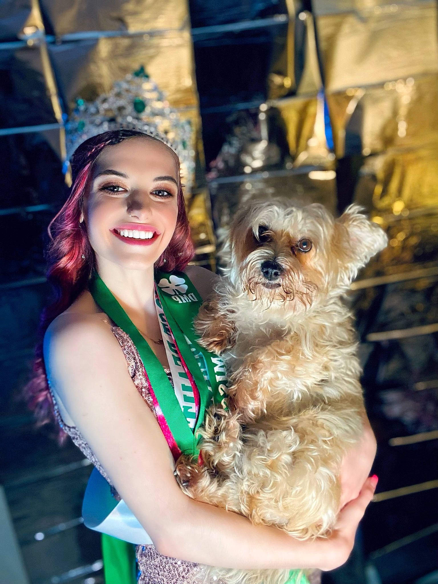 Tiger is registered to the contest to win money with this photo: carnivore, companion_dog, dog, dog_breed, earrings, event, fashion_accessory, fashion_design, fawn, formal_wear, fun, fur, happy, jewellery, necklace, small_terrier, smile, sporting_group, terrier, toy_dog