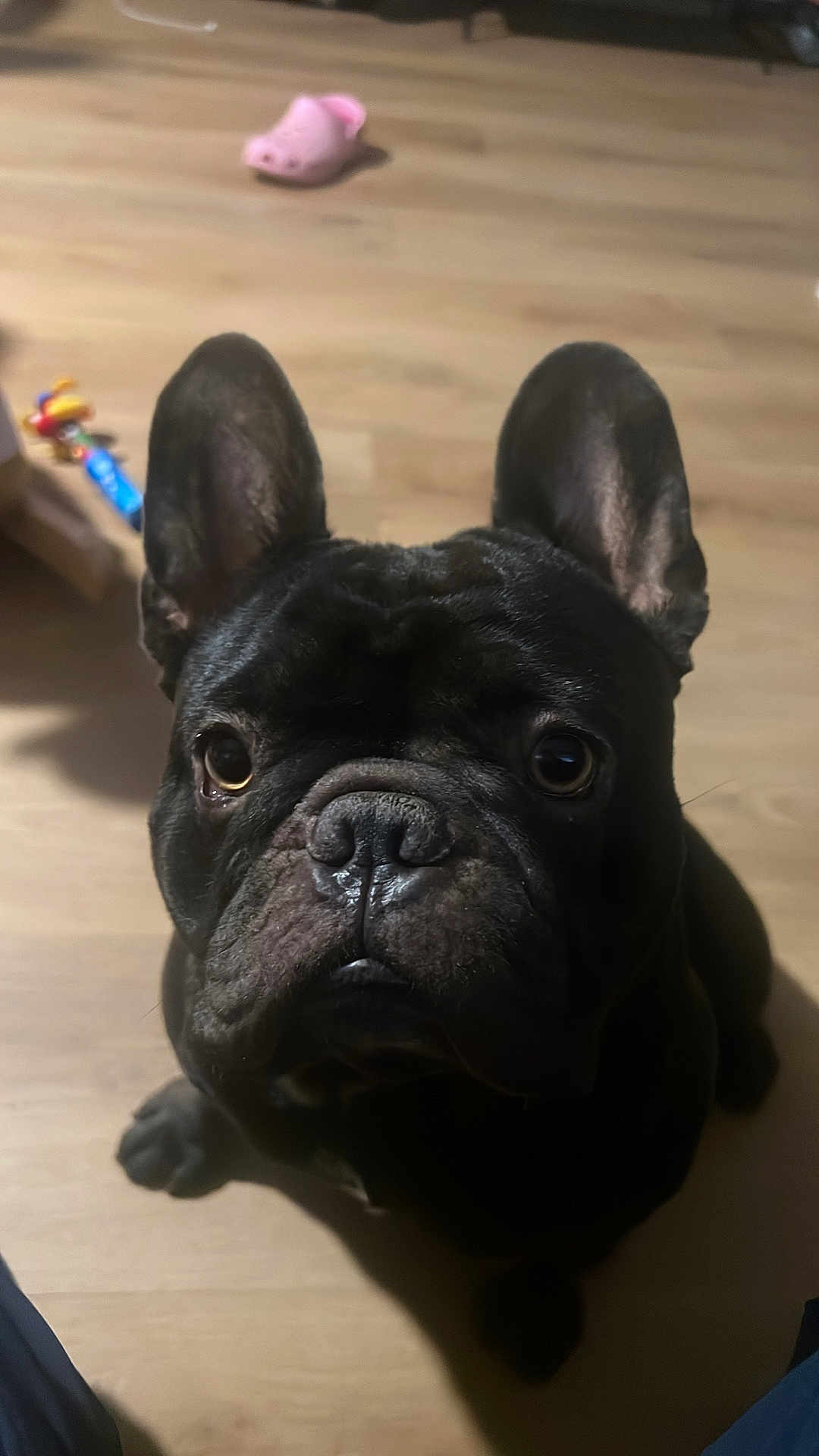 Coco