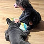 Coco is registered to the contest to win money with this photo: animal, black_dog, book, child, companion, crouching, curiosity, curly_hair, cute, dog, domestic_animal, flooring, gentle, indoor, interaction, petting, playing, toddler, wooden_floor, young_child