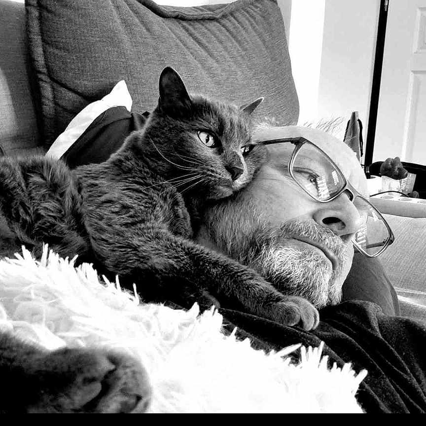 Gribouille participe au concours pour gagner de l'argent avec cette photo : accessories, adult, animal, architecture, building, cat, computer, couch, cushion, electronics, furniture, glasses, homedecor, laptop, male, man, pc, person, pet, sleeping