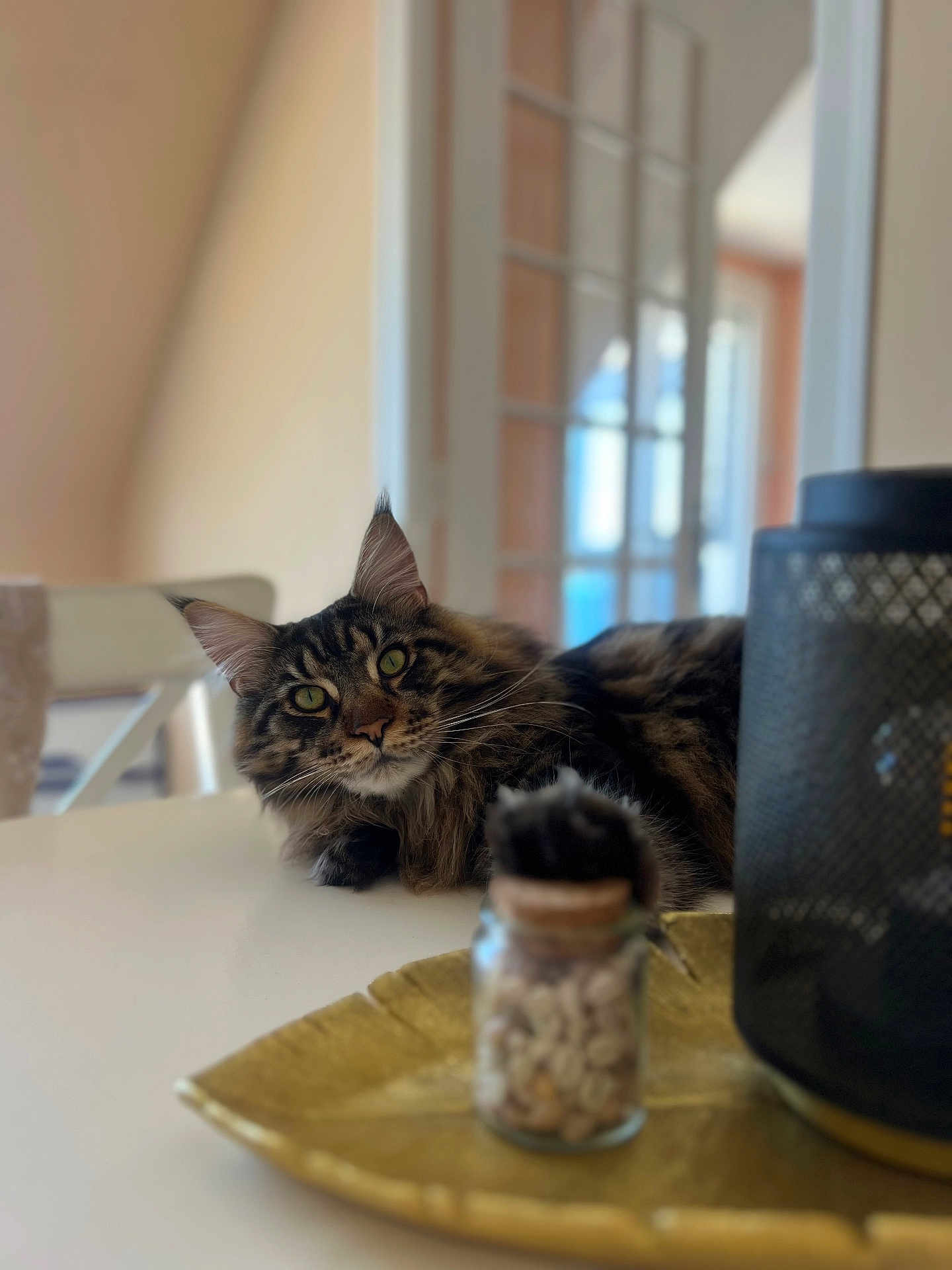Willow
