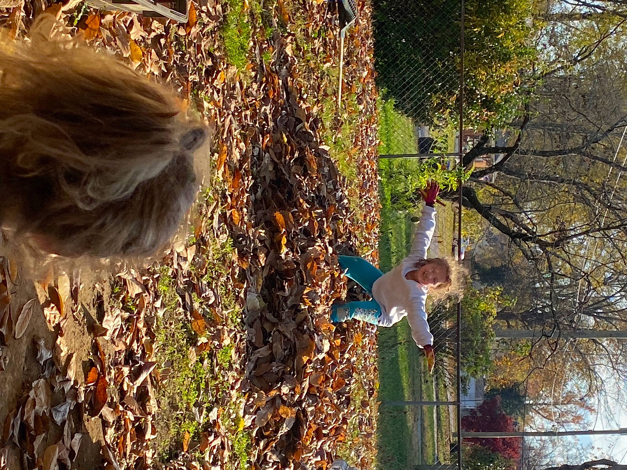 Abigail joined the competition — help win amazing prizes! art, autumn, beak, botany, fur, grass, people_in_nature, person, plant, pole, reflection, shrub, soil, street_light, tree, trunk, twig, vegetation, wheel, wildlife