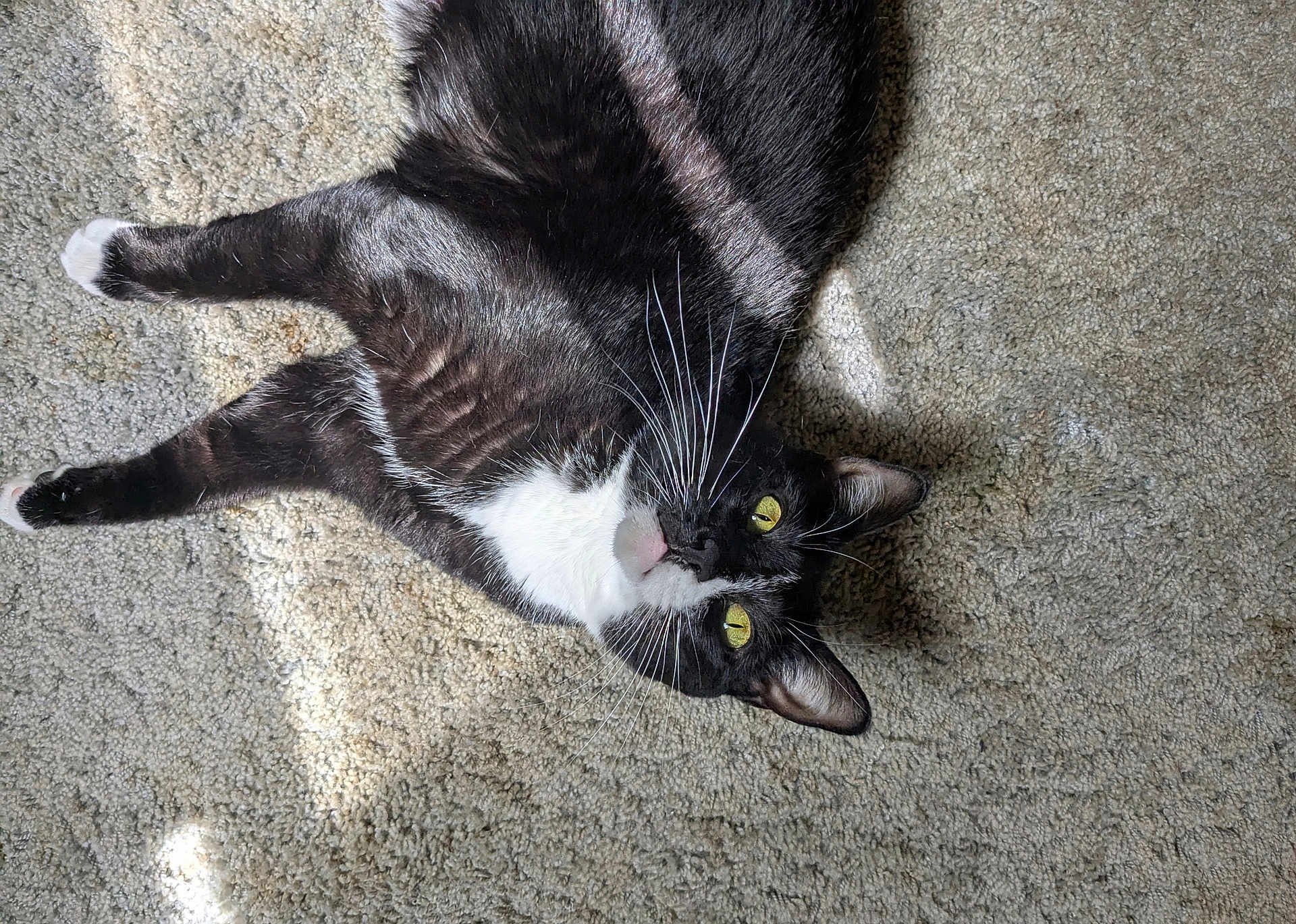 Samantha