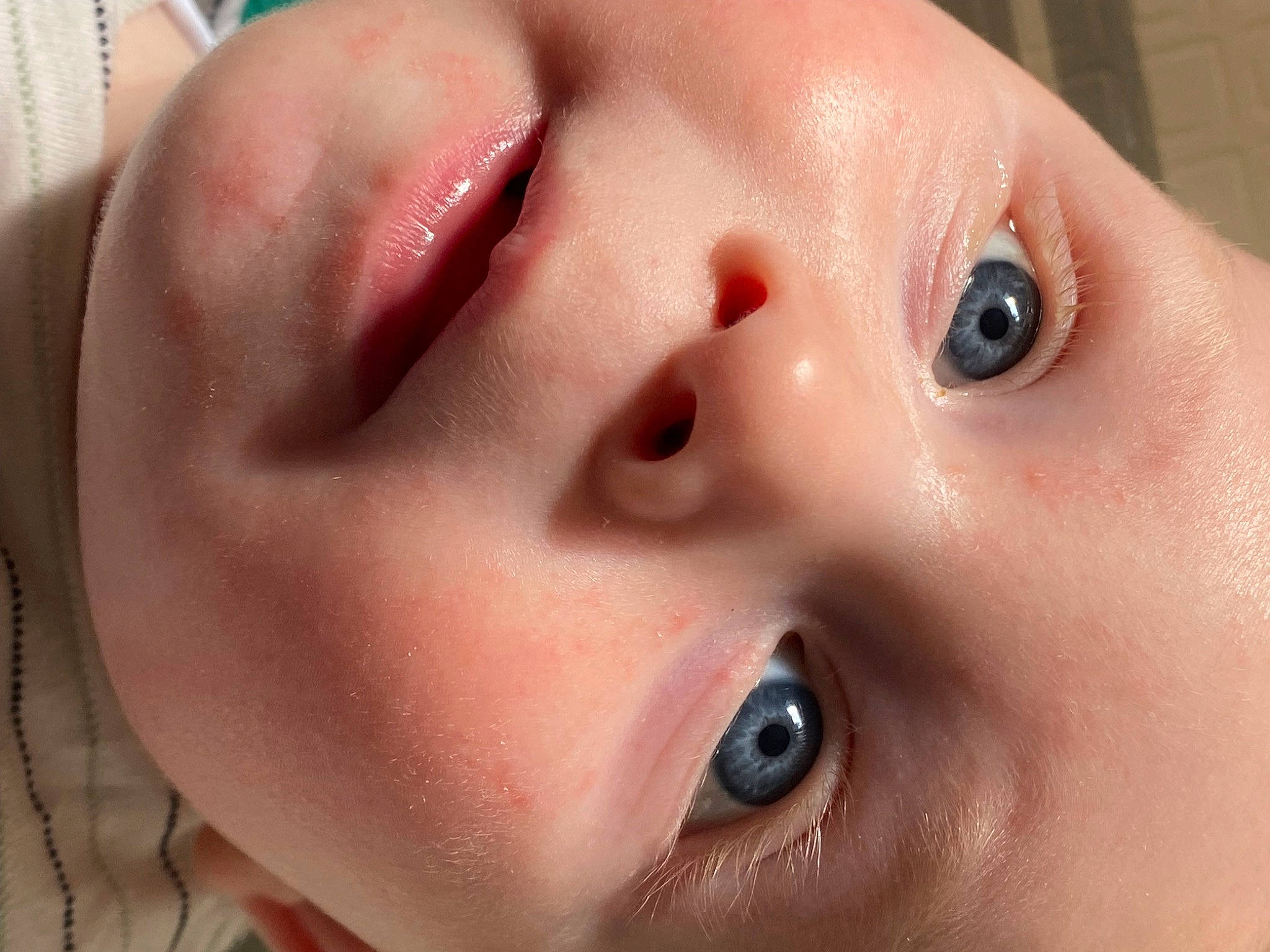 Léon a rejoint le concours — aidez-le/la à gagner de superbes lots ! cheek, child, chin, ear, eye, eyebrow, eyelash, face, facial_expression, fun, gesture, iris, jaw, lip, mouth, neck, nose, person, skin, throat