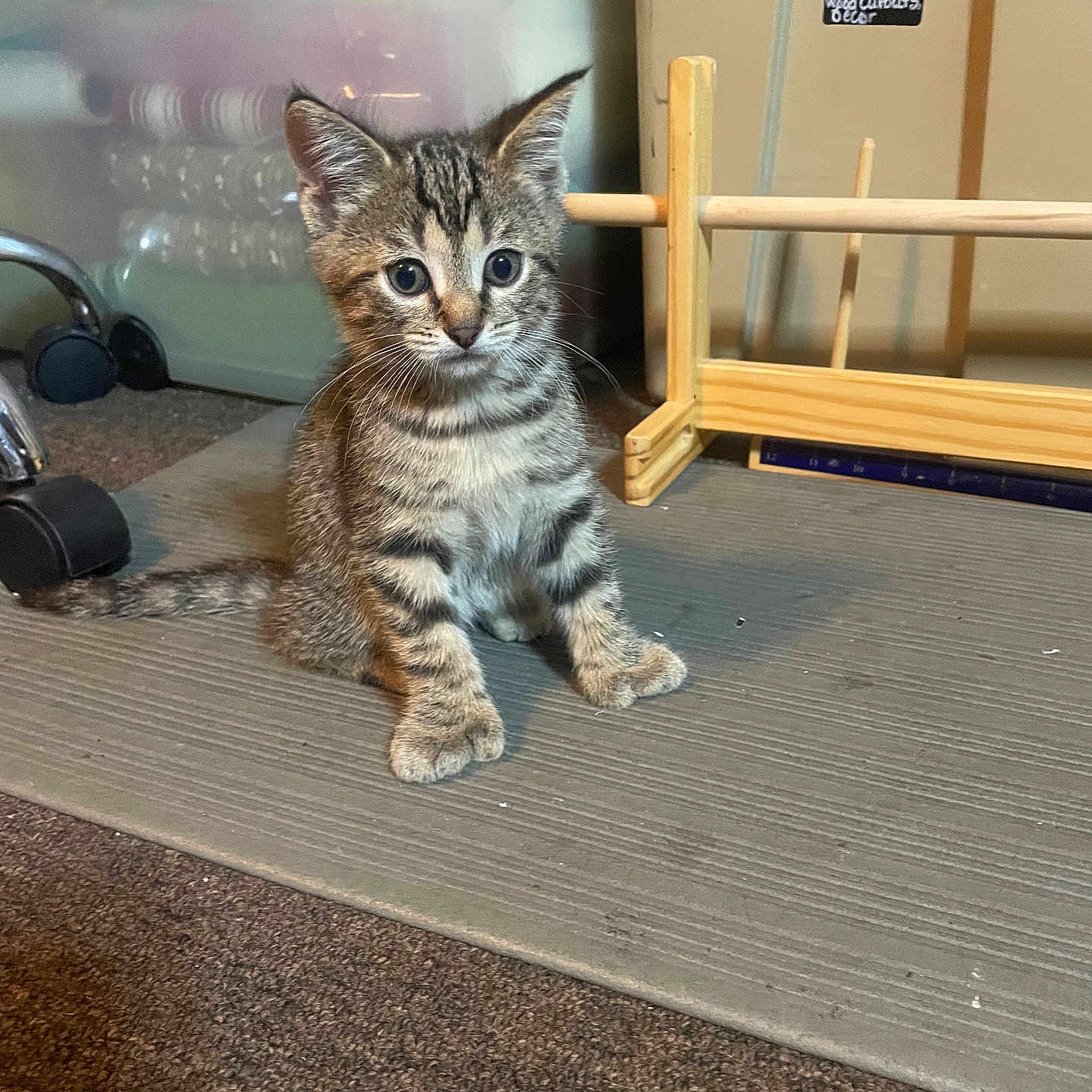 Mittens