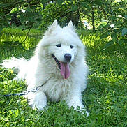 Vyuki participe au concours pour gagner de l'argent avec cette photo :