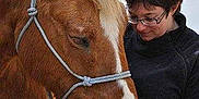 Pacha participe au concours pour gagner de l'argent avec cette photo :