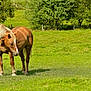 Pacha participe au concours pour gagner de l'argent avec cette photo :