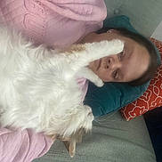 Scarlett joined the competition — help win amazing prizes! cat, person, couch, pillow, white_cat, relaxing, indoor, pet, fur, paw, face, resting, pink_clothing, home, cozy, animal, feline, comfort, casual, nap