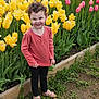 black_pants, child, curly_hair, cute, daylight, flowers, garden, grass, greenery, happy, long_sleeve_shirt, nature, outdoor, pink_tulips, plant, portrait, sandals, smiling, tulips, yellow_tulips
