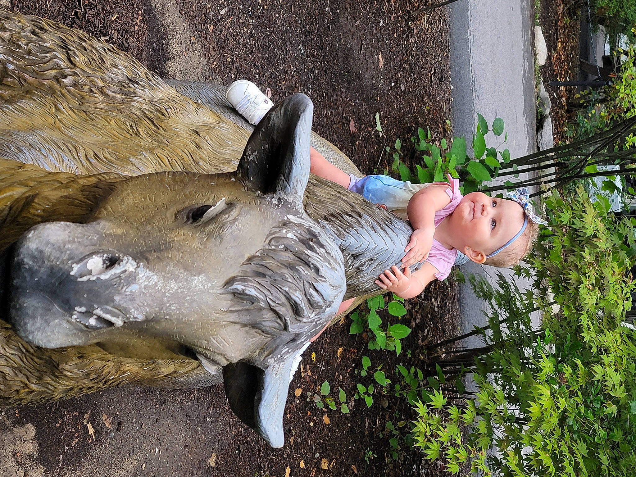 Elizabeth joined the competition — help win amazing prizes! canidae, fawn, grass, happy, headwear, lawn_ornament, leisure, mammal, organism, people_in_nature, person, plant, snout, soil, sporting_group, tail, terrestrial_animal, tree, trunk, wildlife