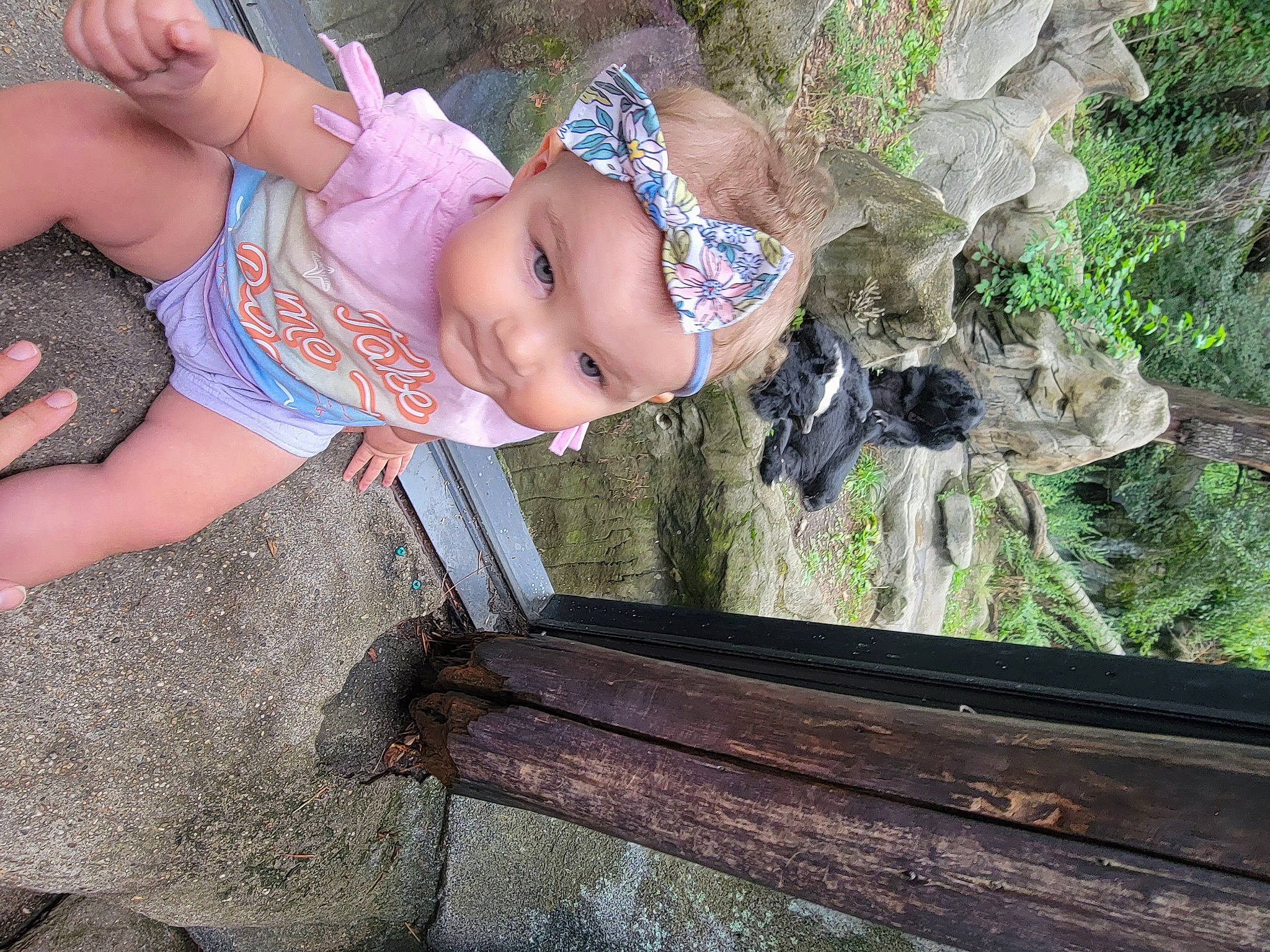 Elizabeth joined the competition — help win amazing prizes! baby, baby_toddler_clothing, child, eye, foot, fun, grass, happy, hat, headwear, leisure, people_in_nature, person, plant, sitting, skin, thigh, toddler, tree, trunk