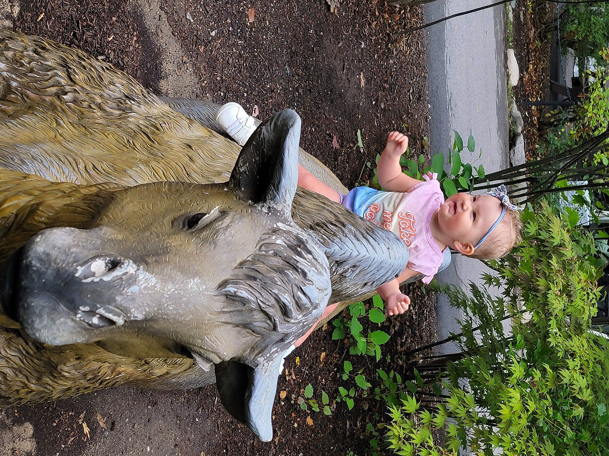 Elizabeth joined the competition — help win amazing prizes! fawn, fun, fur, garden, grass, happy, headwear, landscape, lawn_ornament, leisure, people_in_nature, person, plant, recreation, sitting, soil, suidae, terrestrial_animal, tree, trunk