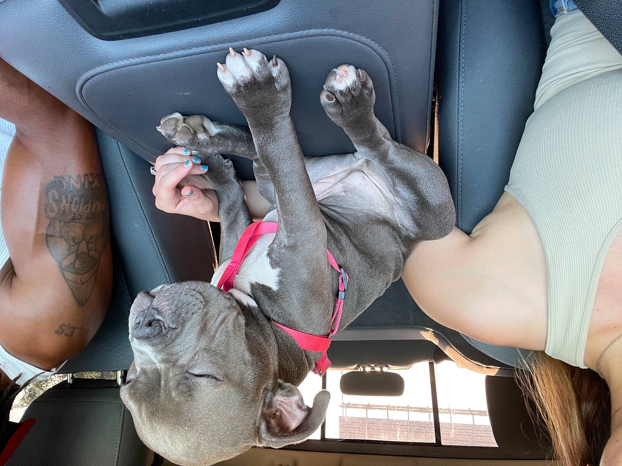 Lou Lou is registered to the contest to win money with this photo: auto_part, automotive_design, car, car_seat, car_seat_cover, comfort, family_car, gesture, human_leg, knee, leg, nail, personal_luxury_car, steering_wheel, textile, thigh, vehicle, vehicle_door, vertebrate, wrist