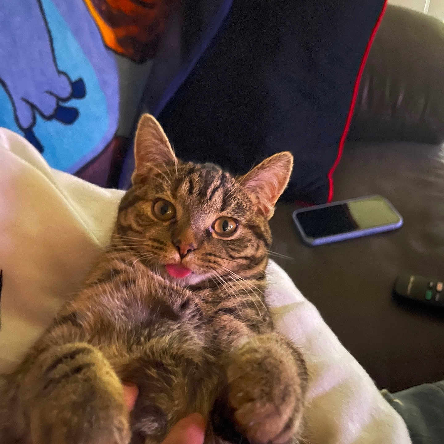Stella joined the competition — help win amazing prizes! cat, tabby, pet, animal, tongue_out, indoor, couch, blanket, pillow, remote_control, feline, cute, playful, relaxed, person_hand, closeup, lying_down, domestic_animal, cozy, fur
