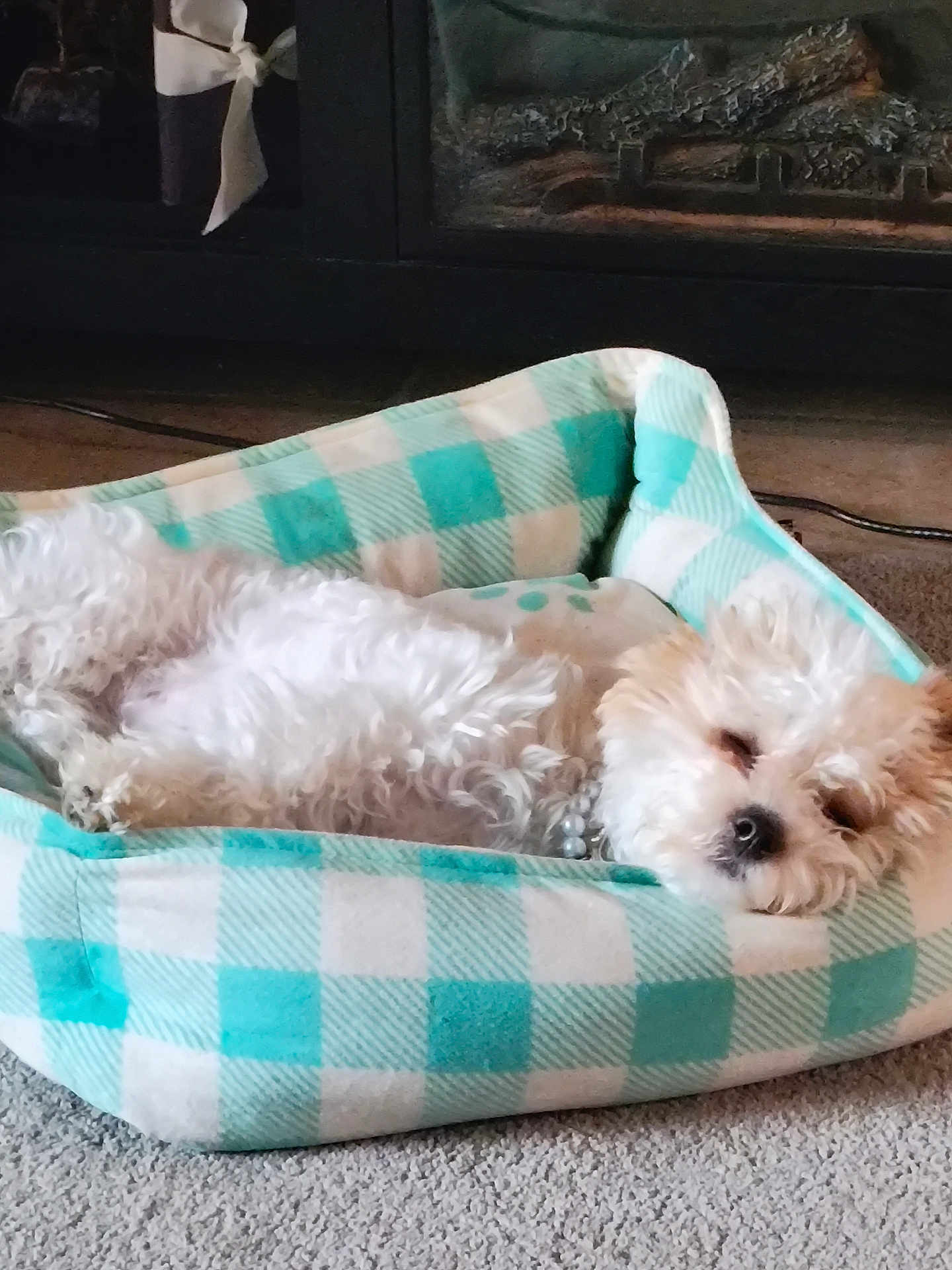 Bella