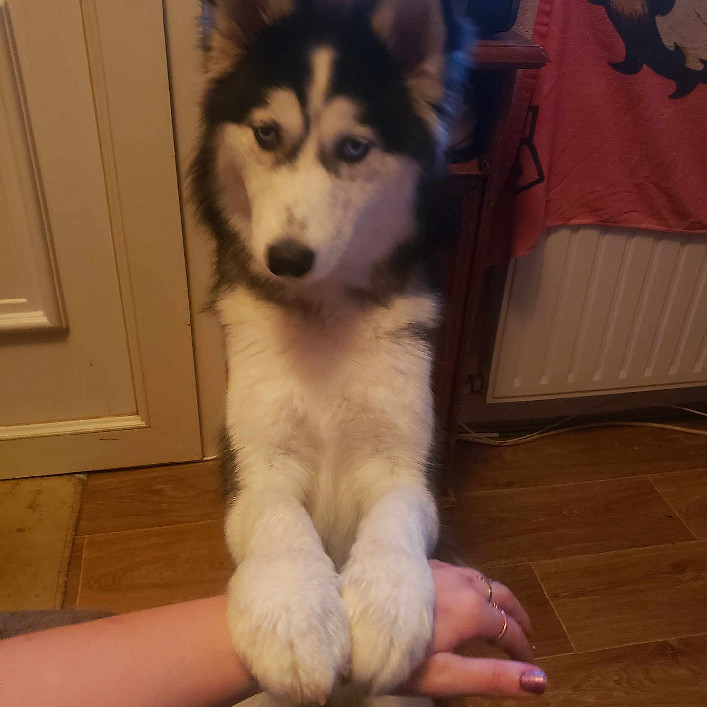 Luna