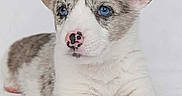 Freya is registered to the contest to win money with this photo: