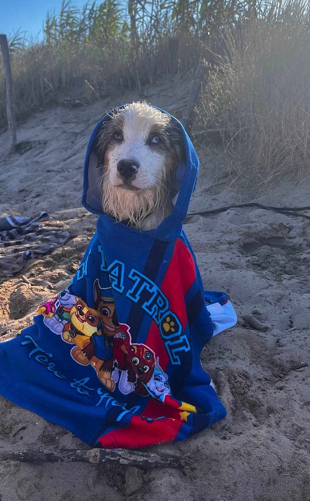 Astro