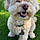 Charlie