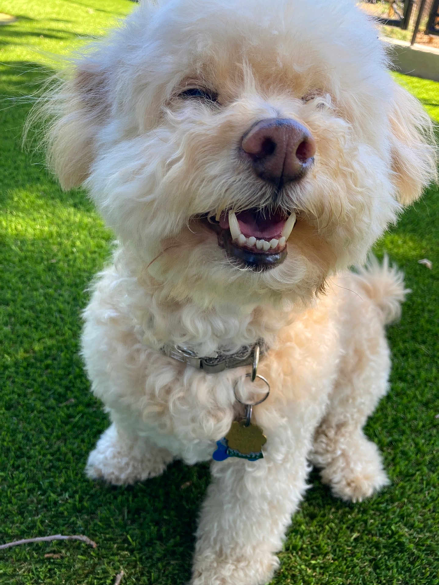 Charlie
