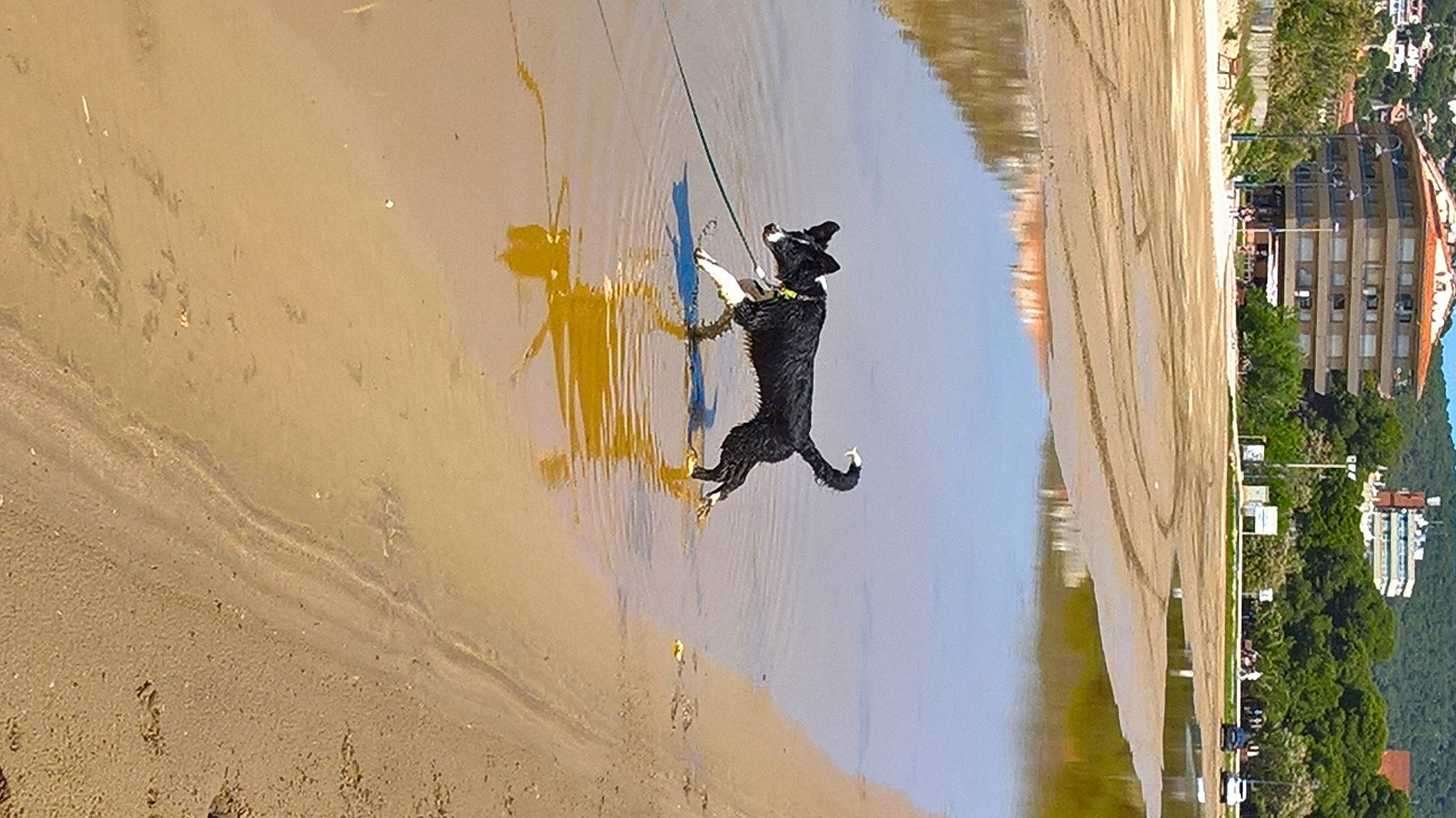 Kiara participe au concours pour gagner de l'argent avec cette photo : adventure, art, climbing_harness, dog, extreme_sport, facade, leisure, recreation, rock_climbing_equipment, rope, shadow, sky, slope, sport_climbing, stunt_performer, tree, wall, water, wire, wood