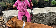 Journey is registered to the contest to win money with this photo: child, dog, leash, pink_tracksuit, outdoor, bench, pavement, brick, greenery, fence, street, car, sidewalk, person, pet, animal, casual, daytime, urban, portrait