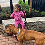 child, dog, leash, pink_tracksuit, outdoor, bench, pavement, brick, greenery, fence, street, car, sidewalk, person, pet, animal, casual, daytime, urban, portrait