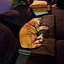animal, blanket, cat, comfort, couch, cozy, domestic_cat, fur, furniture, home, indoor, nap, orange_tabby, pet, pillow, quiet, relaxation, resting, sleeping, soft_light
