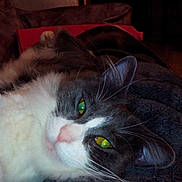 Mimi participe au concours pour gagner de l'argent avec cette photo :