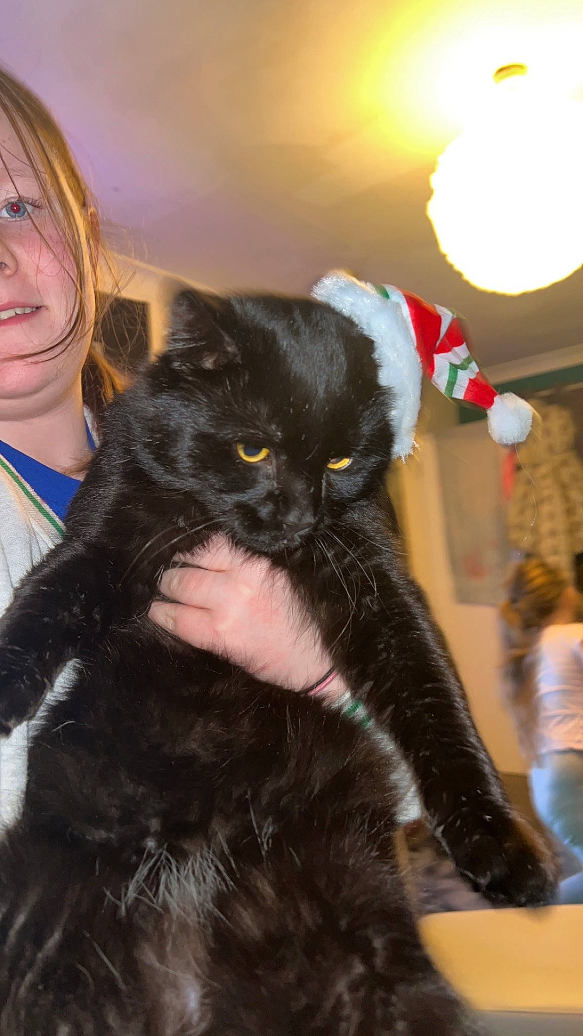 Maverick joined the competition — help win amazing prizes! black_cat, black_hair, carnivore, cat, claw, domestic_short_haired_cat, ear, event, felidae, formal_wear, fun, fur, gesture, happy, lap, long_hair, nail, small_to_medium_sized_cats, tail, whiskers