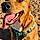 Charlie