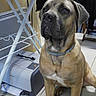 Ilona participe au concours pour gagner de l'argent avec cette photo :