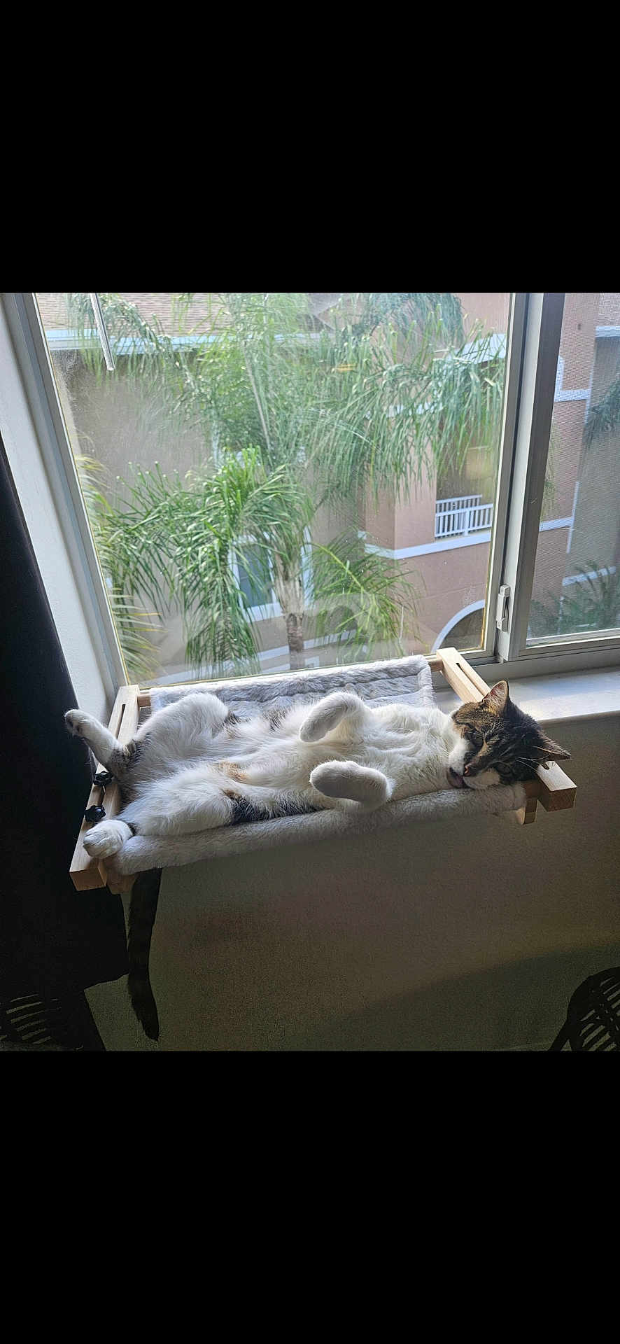 Paco