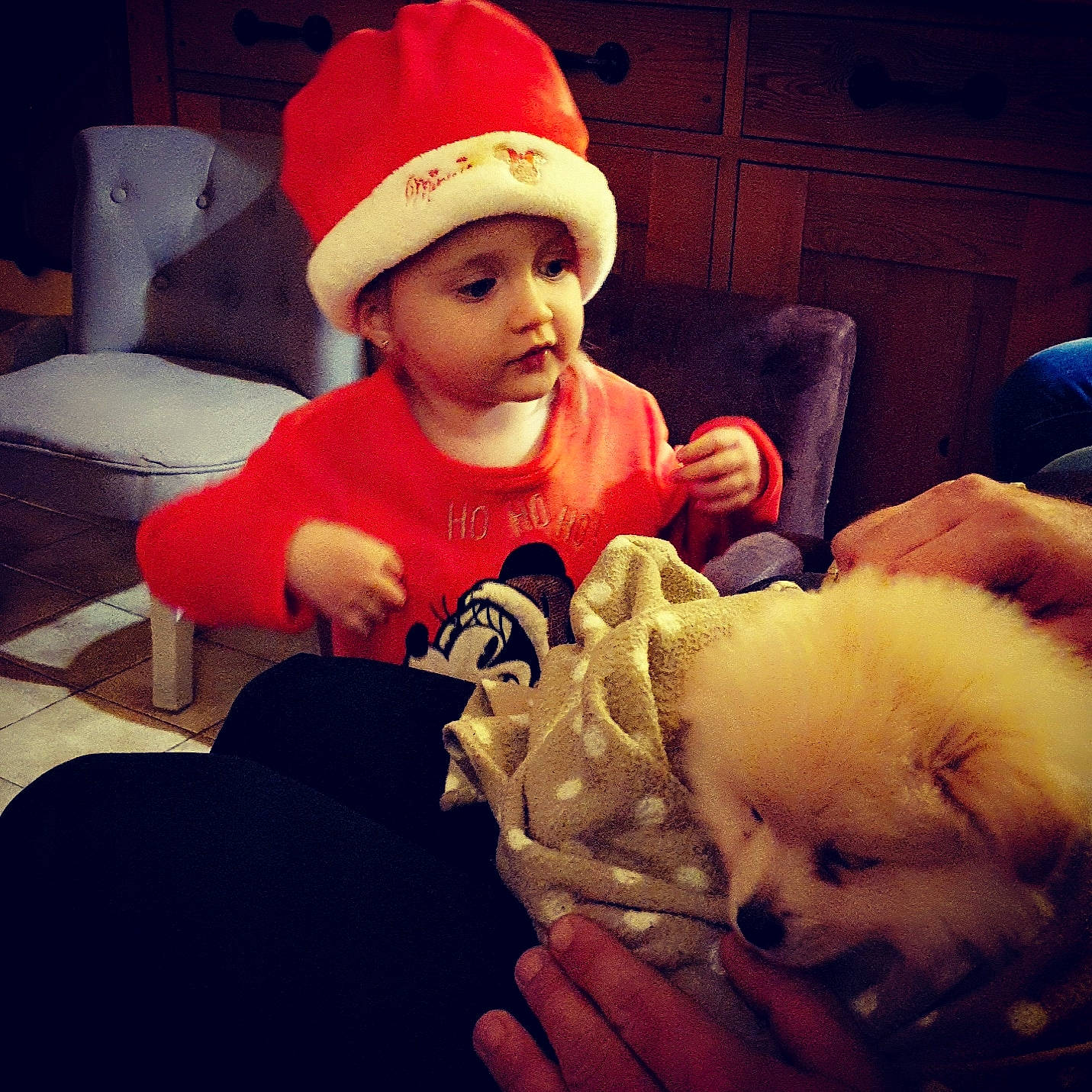 Lizie participe au concours pour gagner de l'argent avec cette photo : baby_toddler_clothing, cap, carnivore, comfort, companion_dog, cool, dog, dog_breed, fawn, happy, headwear, mouth, organ, person, sleeve, snout, spitz, t_shirt, toddler, toy