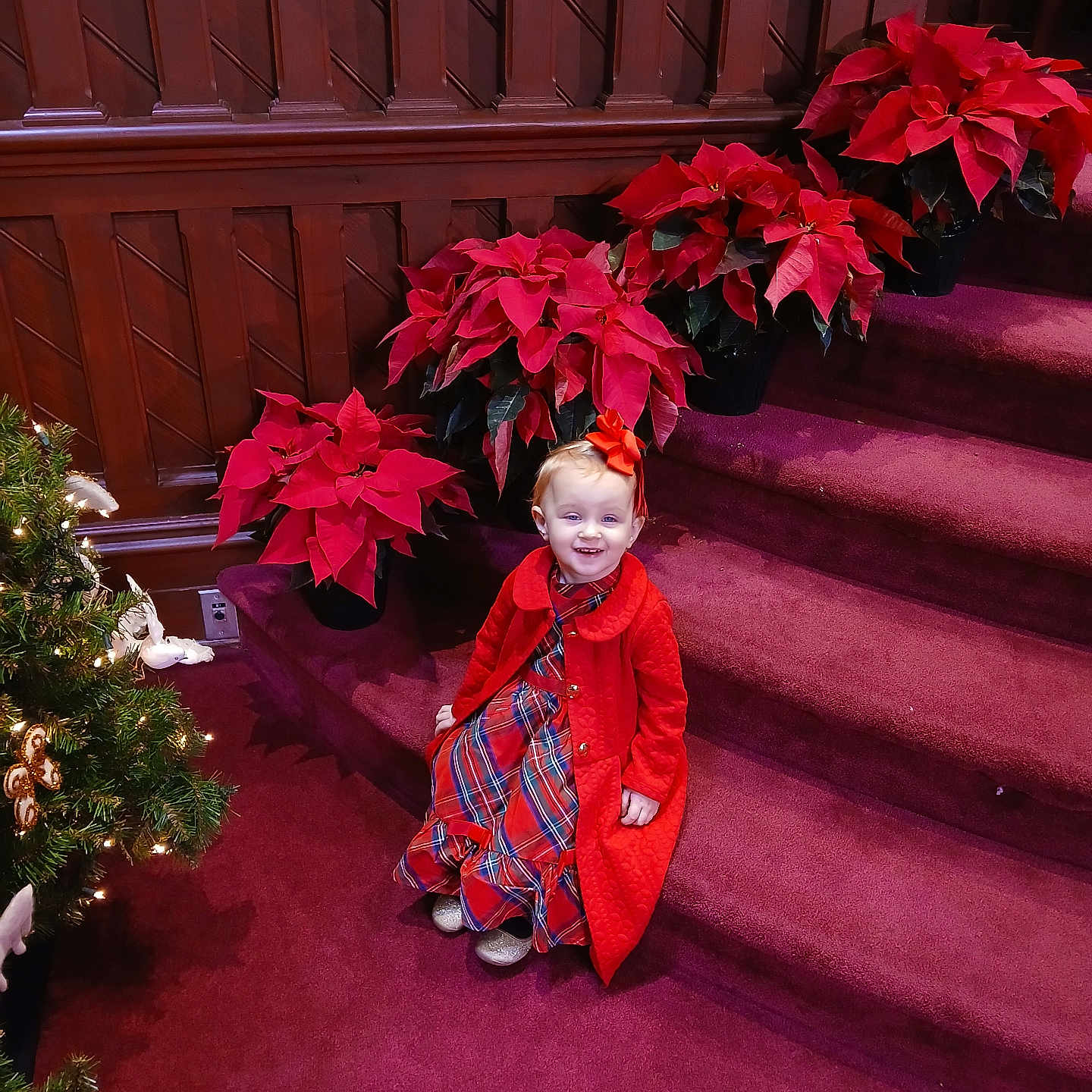 Izabella is registered to the contest to win money with this photo: accessories, architecture, baby, building, clothing, dress, fashion, flower, footwear, glove, handrail, jewelry, leaf, necklace, person, photography, plant, pottedplant, shoe, tree
