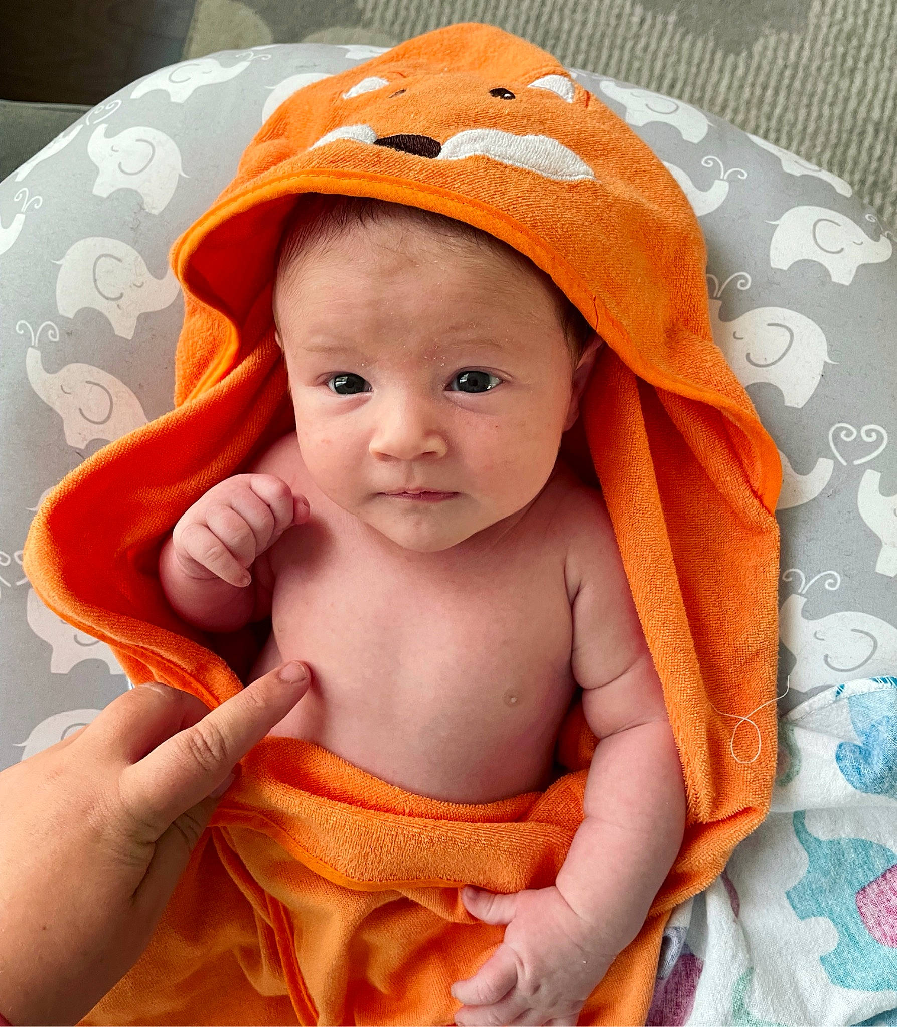 William is registered to the contest to win money with this photo: baby, baby_products, baby_safety, baby_toddler_clothing, cap, cheek, child, comfort, fashion_accessory, gesture, happy, lip, nail, orange, peach, person, product, skin, smile, thumb