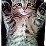 Capucine participe au concours pour gagner de l'argent avec cette photo :