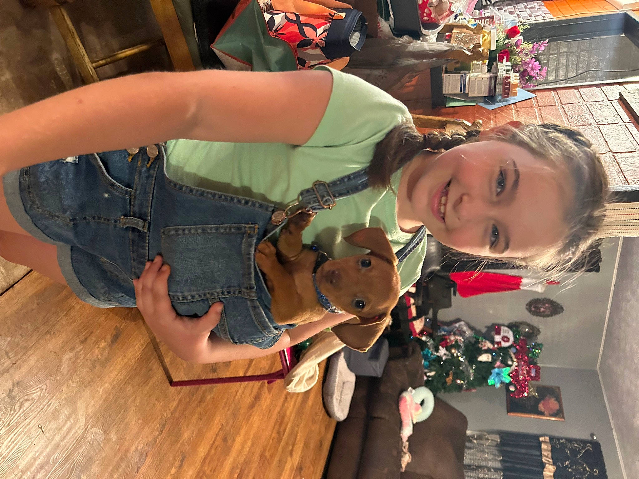 Zoey joined the competition — help win amazing prizes! child, denim, eyewear, flooring, fun, happy, hardwood, human_leg, joy, laminate_flooring, leisure, luggage_and_bags, person, plush, room, smile, stuffed_toy, thigh, toy, wood