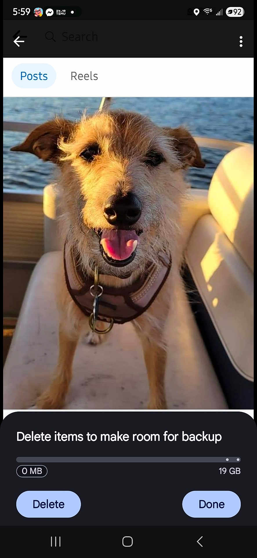 Marley
