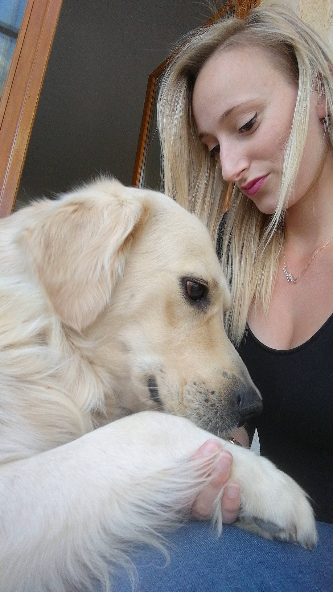 Ioko participe au concours pour gagner de l'argent avec cette photo : companion_dog, dog, dog_breed, dog_breed_group, dog_like_mammal, fur, girl, golden_retriever, labrador_retriever, nose, person, puppy, retriever, skin, snout, sporting_group