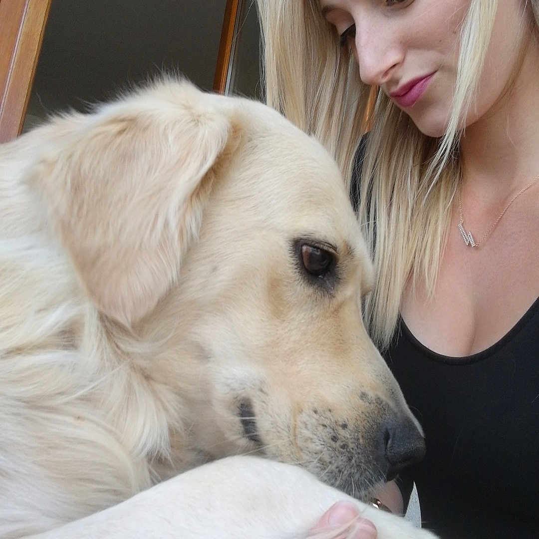 Ioko participe au concours pour gagner de l'argent avec cette photo : companion_dog, dog, dog_breed, dog_breed_group, dog_like_mammal, fur, girl, golden_retriever, labrador_retriever, nose, person, puppy, retriever, skin, snout, sporting_group