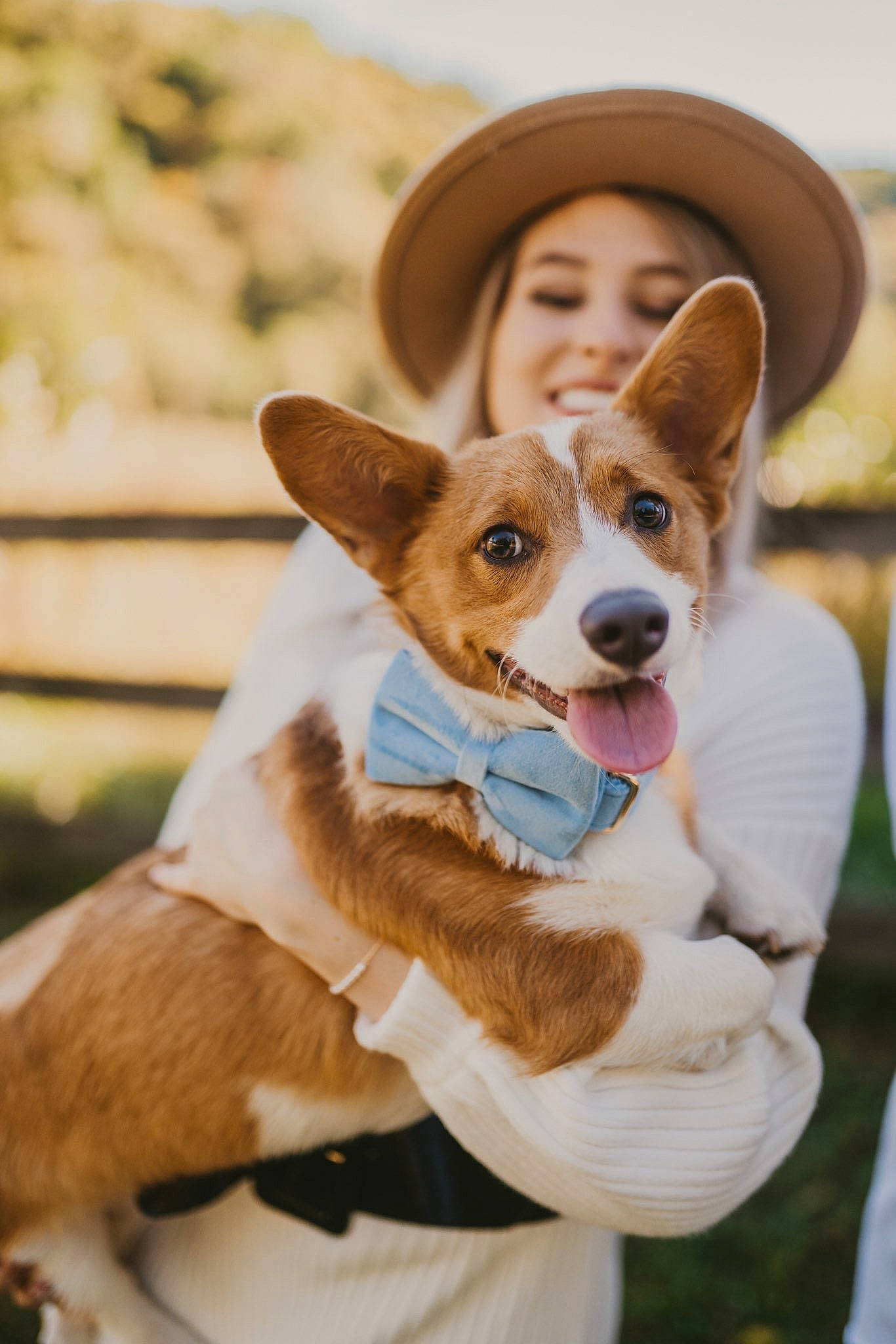 Wallen joined the competition — help win amazing prizes! ancient_dog_breeds, canidae, carnivore, companion_dog, cowboy_hat, dog, dog_breed, ear, fashion_accessory, fawn, fedora, fun, fur, happy, hat, smile, sun_hat, tail, whiskers, working_animal