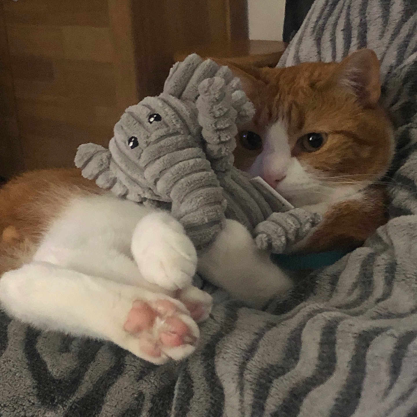 Simba