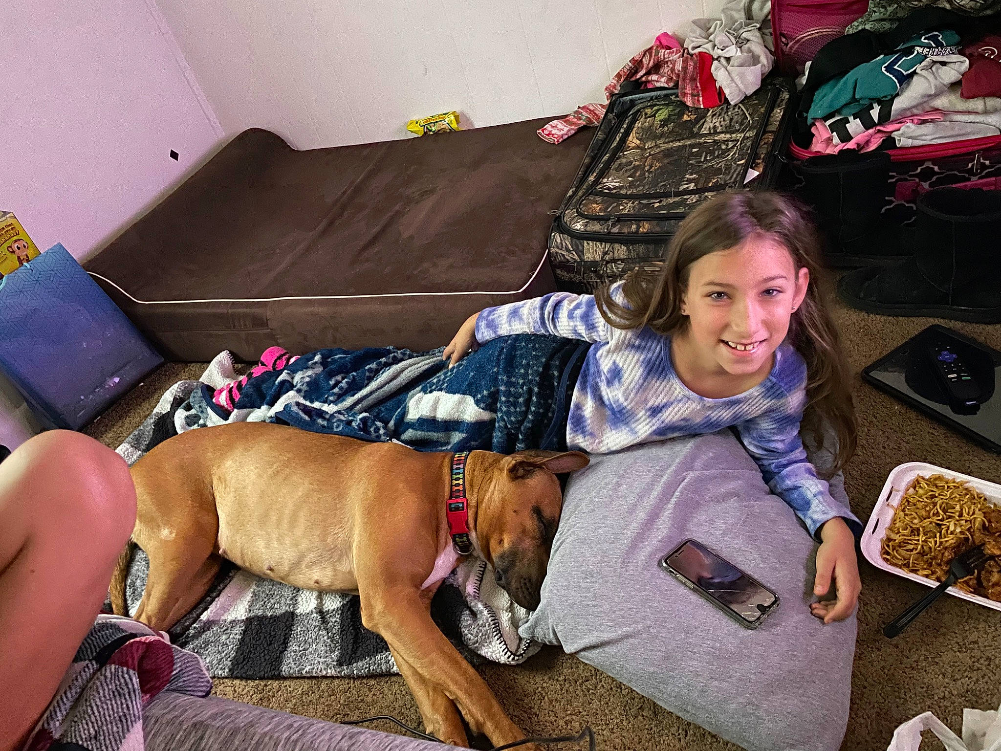 Elithyia is registered to the contest to win money with this photo: canidae, carnivore, comfort, companion_dog, couch, dog, dog_breed, dog_supply, fawn, fur, guard_dog, human_leg, joy, lap, leash, person, room, sitting, smile, sofa_bed