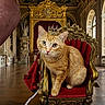 Binky Marie joined the competition — help win amazing prizes! animal, cat, crown, curtain, decor, feline, gold_detail, indoor, interior, luxury, majestic, ornate, palace, pet, portrait, red_velvet, royalty, statue, throne, wood_floor